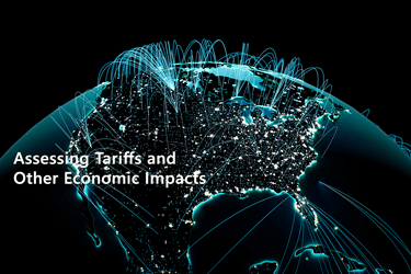 Assessing Tariffs and Other Economic Impacts